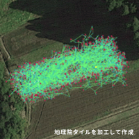 マスクメロン航法の画像